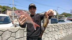 まこと渡船 釣果