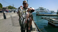 まこと渡船 釣果