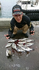 まこと渡船 釣果