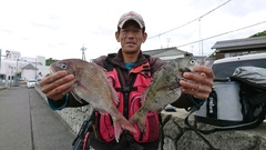まこと渡船 釣果