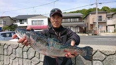 まこと渡船 釣果