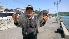 まこと渡船 釣果