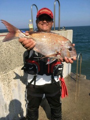 まこと渡船 釣果