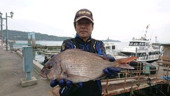 まこと渡船 釣果