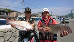 まこと渡船 釣果