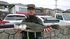 まこと渡船 釣果