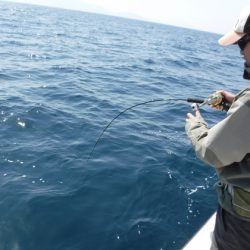 BlueNote Fishing Taxi 釣果