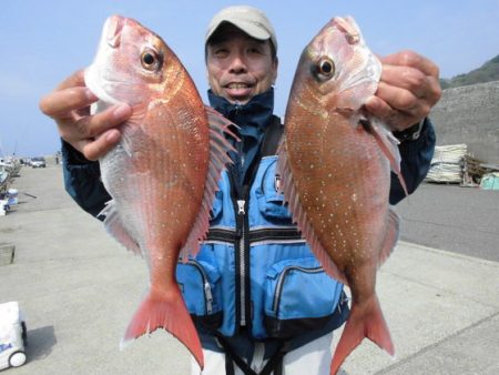 大進丸（新潟） 釣果