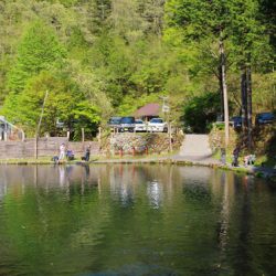 小菅トラウトガーデン 釣果