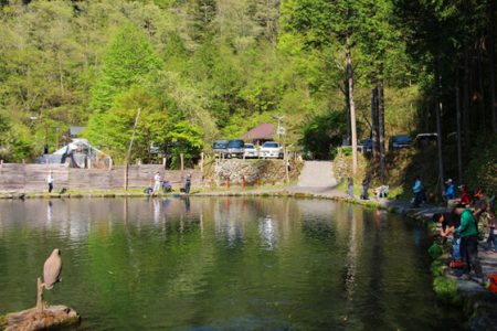 小菅トラウトガーデン 釣果