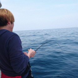 遊漁船ブルーウッズ 釣果