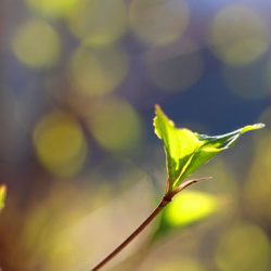 小菅トラウトガーデン 釣果