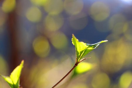 小菅トラウトガーデン 釣果