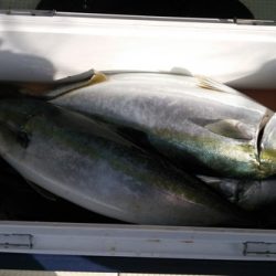 遊漁船　ニライカナイ 釣果