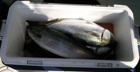 遊漁船　ニライカナイ 釣果