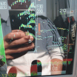 遊漁船ブルーウッズ 釣果