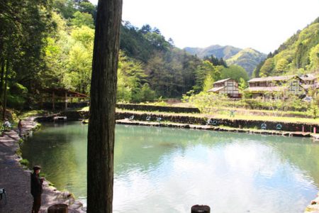 小菅トラウトガーデン 釣果