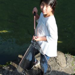 小菅トラウトガーデン 釣果