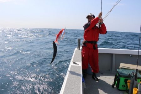 へいみつ丸 釣果