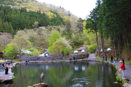 小菅トラウトガーデン 釣果