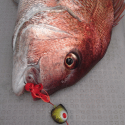 遊漁船ブルーウッズ 釣果