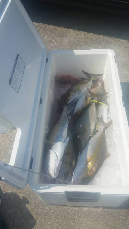 第五慶門丸 釣果