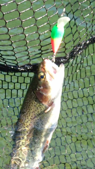 小菅トラウトガーデン 釣果