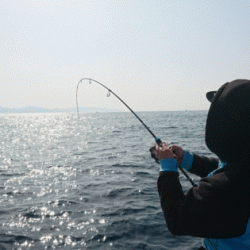 遊漁船ブルーウッズ 釣果