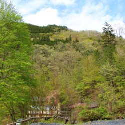 小菅トラウトガーデン 釣果