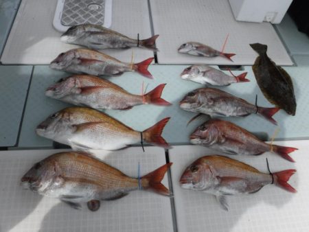 遊漁船 幸友丸 釣果