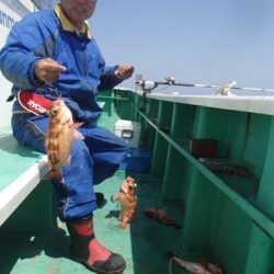 第二むつ漁丸 釣果