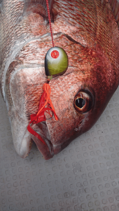 遊漁船ブルーウッズ 釣果