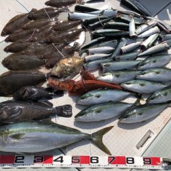 ふじしめ丸 釣果