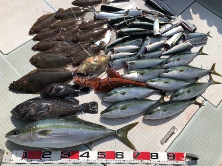ふじしめ丸 釣果