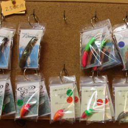 小菅トラウトガーデン 釣果