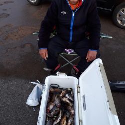 釣り船くわだ 釣果