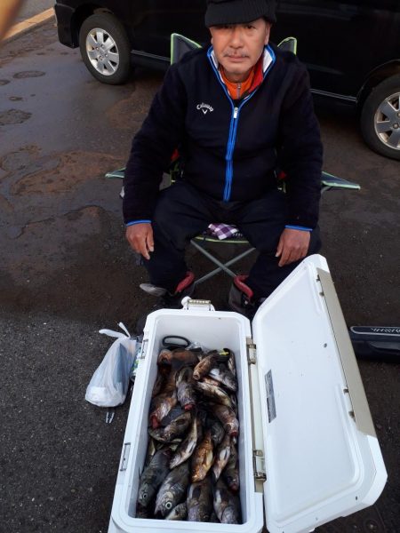釣り船くわだ 釣果