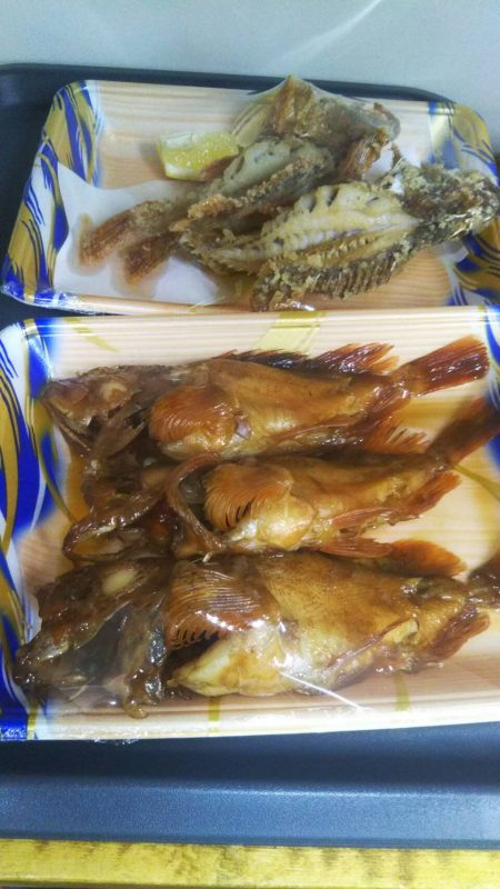 リトルワン 釣果