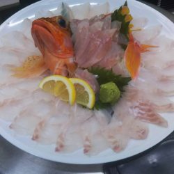 リトルワン 釣果