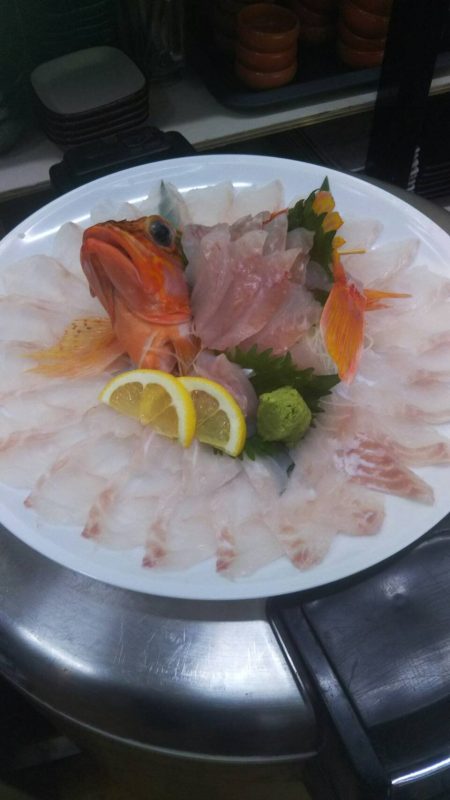 リトルワン 釣果