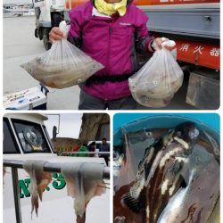 第三隆栄丸 釣果