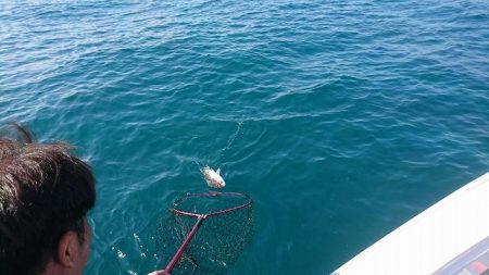 フィッシングボートACE(エース) 釣果