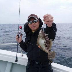 フィッシングボートACE(エース) 釣果