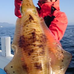 海晴丸 釣果