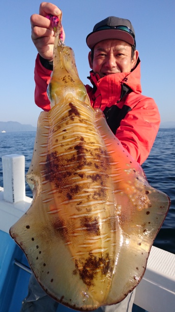 海晴丸 釣果