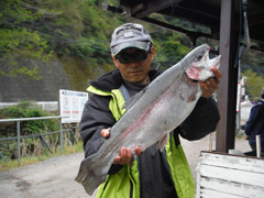 すそのフィッシングパーク 釣果