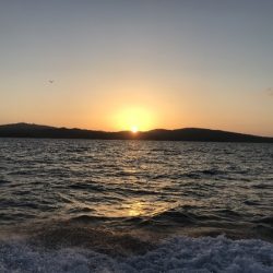 寿裕 （YOSHIHIRO） 釣果