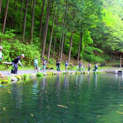 小菅トラウトガーデン 釣果