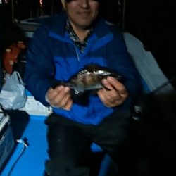 フィッシングガイド りょう 釣果