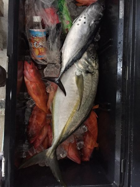 フィッシングハウス伊藤 釣果